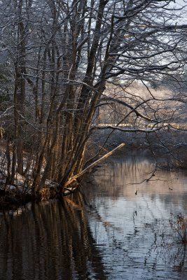 Backwater on the Sudbury river