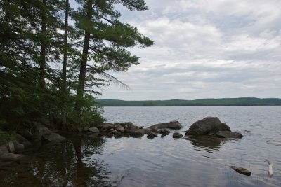 Small cove on Parker Pond