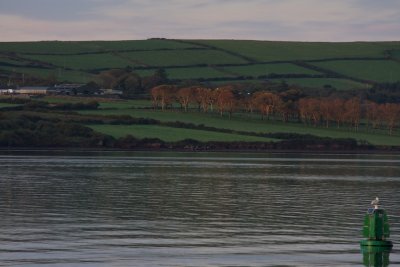 Fall morning on the harbor