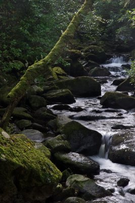 Cascades on the Owengarriff river