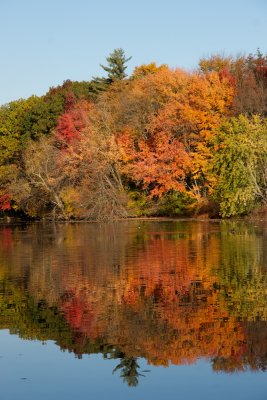 Fall on the Sudbury river