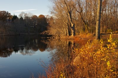 Near the Old North Bridge