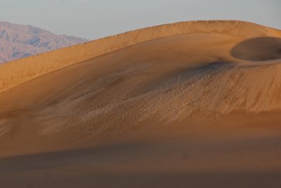 Mesquite dune curve