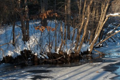 Winter river bank