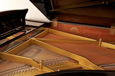 Inside the Piano (full size)