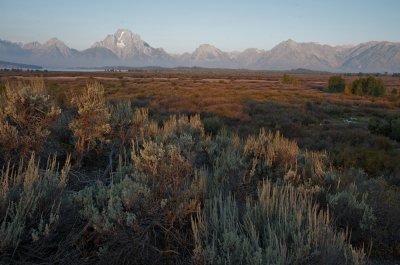 First light at Willow Flats