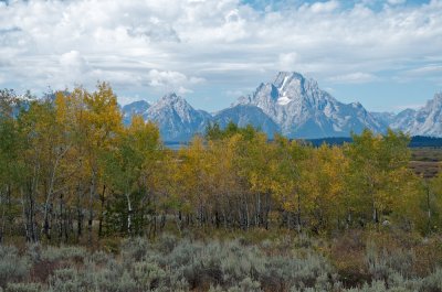 Aspens at Willow Flats