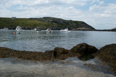 Lobster boats at anchor