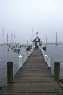 Down the dock