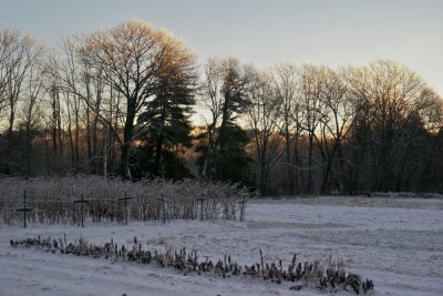 Winter morning at Stearns farm