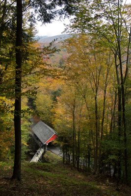 Covered bridge near the flume