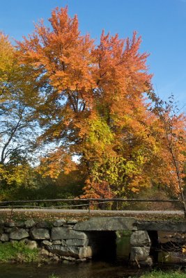 Old stone bridge