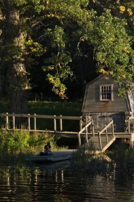 Sitting on the dock