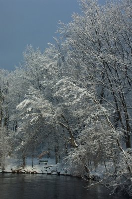 Winter seat