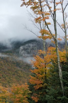 Morning mist in Franconia notch