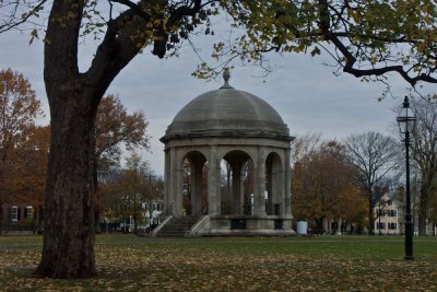 On the common