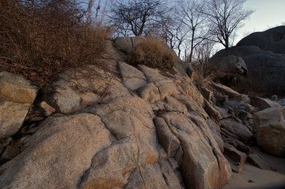 Shoreline rocks