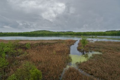 Great Meadows flood