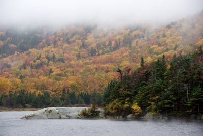 Beaver Pond in the mist
