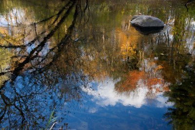 Fall reflection