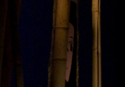100% crop at ISO 1600 #2