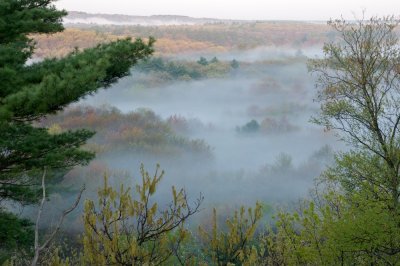 Spring mist