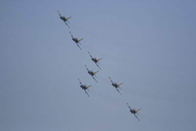 Breitling Team L-39 Albatros