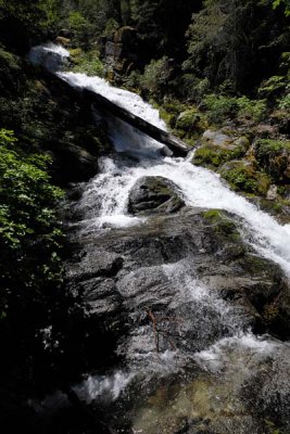 7/4/10 Whiskeytown Falls