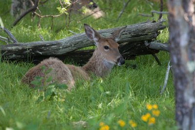 IMG_9193.jpg