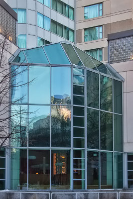 Platinum Glass