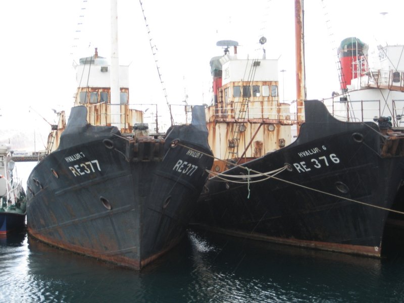 Whale 6 and 7 who Sea Shepherd sank 1986.  They are not destroyed and could be renewed since their engine are ok