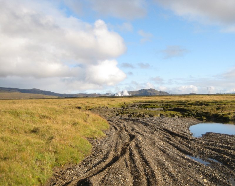 Gamall rfarvegur
