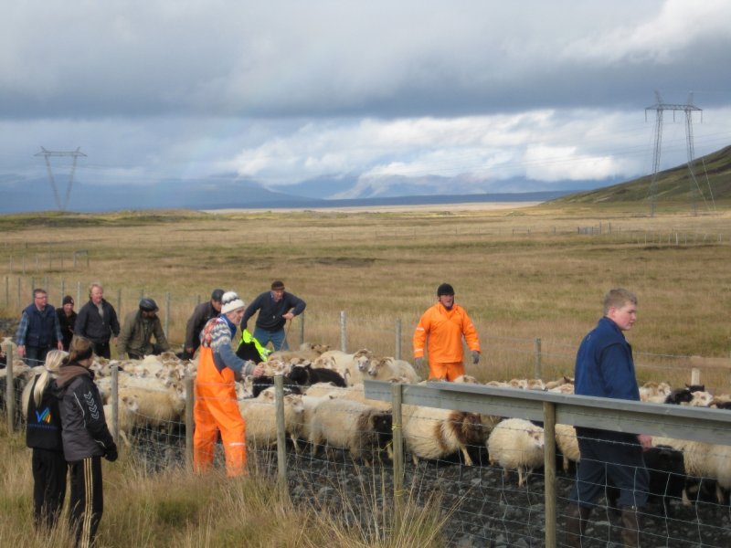 Húsmúlarétt (Kolviðarhóll) og nágrenni Lyklafells vestur af Marardal - sep. 2009