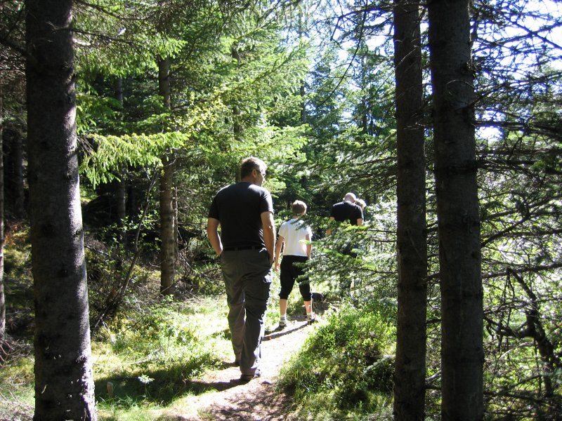  skgrkt Borgfiringa