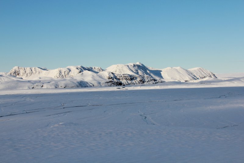 Skaftraurar