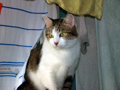 g1/12/372012/3/108741435.gE9ScYjf.jpg