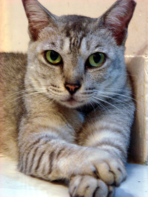 g1/12/372012/3/116718507.4r03AjMg.jpg