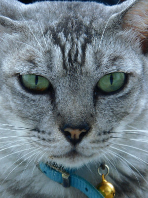 g1/12/372012/3/125764567.KzJfKUK6.jpg