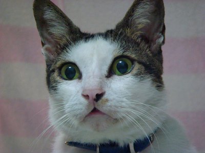 g1/12/372012/3/125765073.LaOPVHoH.jpg