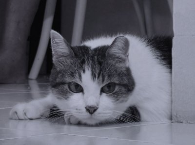 g1/12/372012/3/125907430.bTj8h1tX.jpg