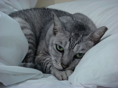 caught sleeping in my bed