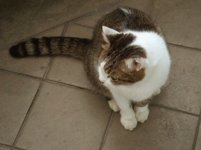 g1/12/372012/3/128077220.6LpXtoMf.jpg