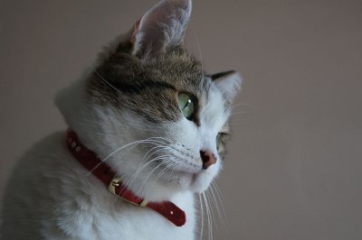 g1/12/372012/3/130311658.ELCgbgvB.jpg