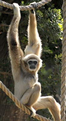 DSC_4585.jpg