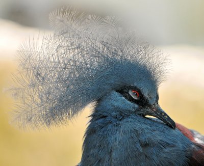 DSC_4781.jpg
