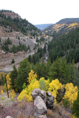 20081004-ColoAspens 012S.jpg