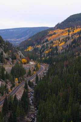 20081004-ColoAspens 015S.jpg