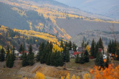 20081004-ColoAspens 026S.jpg