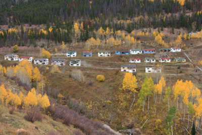 20081004-ColoAspens 062S.jpg