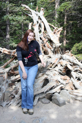 Gnarly old Tree Roots Make a Good Potrait Background
